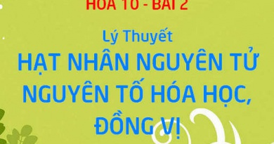 Số khối là gì? Số hiệu nguyên tử là gì? Công thức, cách tính số khối, số hiệu nguyên tử và nguyên tử khối trung bình - Hóa 10 bài 2